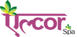 Alcor